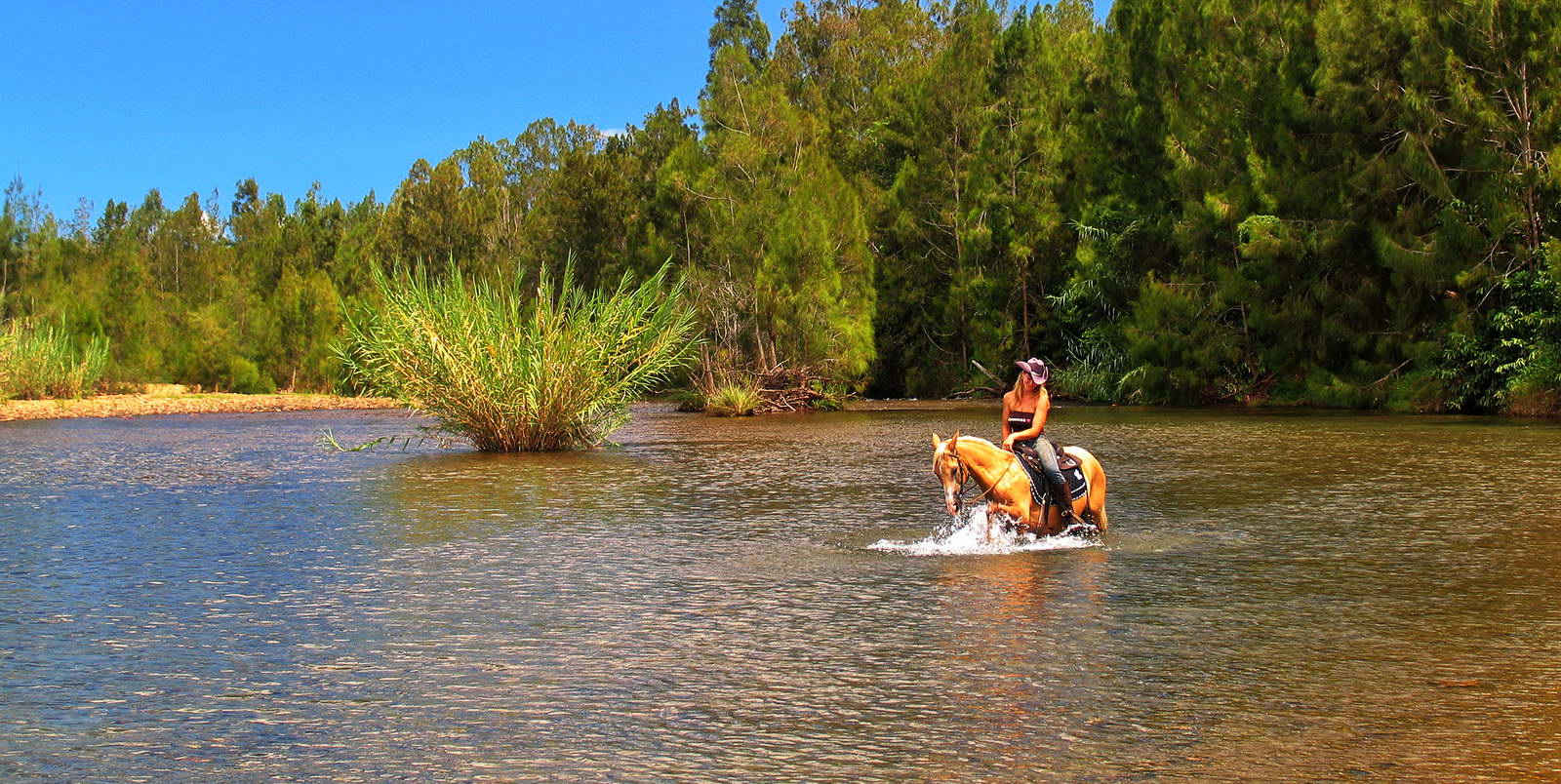 Rocket Travel Guide to Horseback Riding in New Caledonia