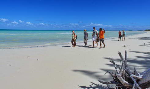 Locally organized tours in New Caledonia